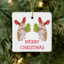 Zoek naar muis ornamenten Kerst