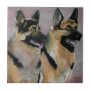 Zoek naar duitse herder tegels Hoektand