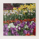Zoek naar tulips puzzels Floreel