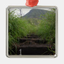 Zoek naar balk ornamenten Close up