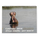 Zoek naar hippo kalenders Olifant