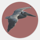 Zoek naar bruine vogel stickers Voor kinderen