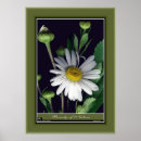 Zoek naar schoonheid in natuur posters Bladeren