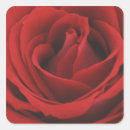 Zoek naar affectie stickers Liefde