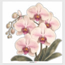 Zoek naar orchidee stickers Elk persoon