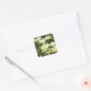Zoek naar witte tulpen stickers Voor hem/haar