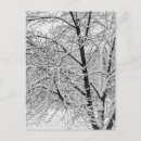 Zoek naar storm fotografie Winter