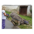 Zoek naar ezel kalenders Boerderij