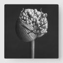 Zoek naar allium kunst Natuur