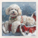 Zoek naar poedel onderzetters Huisdier