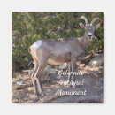 Zoek naar monument Souvenir