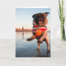 Zoek naar strand kaarten Hond