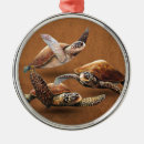 Zoek naar schild ornamenten Blauw