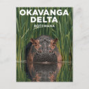Zoek naar nijlpaard briefkaarten Natuur