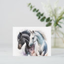 Zoek naar zwart wit paard briefkaarten Ruiter