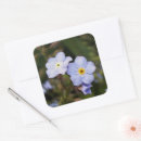 Zoek naar vergeet me niet bloemen stickers Vergeten