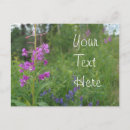 Zoek naar wildflowers briefkaarten Voor haar