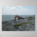 Zoek naar monster fotografie Natuur