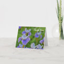 Zoek naar iris groet Bloem