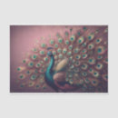 Zoek naar peacock tissue papier Pauw