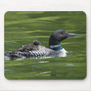 Zoek naar canada muismatten Dier