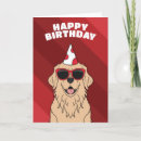 Zoek naar golden retriever verjaardagskaarten Huisdier