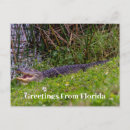 Zoek naar personaliseert briefkaarten Voor iedereen