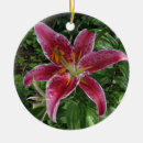 Zoek naar lily ornamenten Groen