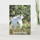 Zoek naar welsh pony kaarten Paard