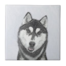 Zoek naar siberian husky tegels Zwart wit