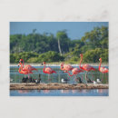 Zoek naar latijnse briefkaarten Rivier