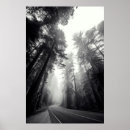Zoek naar bosbouw posters Natuur