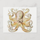 Zoek naar vintage octopus briefkaarten Illustratie