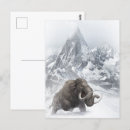 Zoek naar mammoet briefkaarten Olifant
