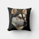 Zoek naar husky kussens Malamute