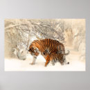 Zoek naar tijger kunst Familie