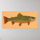 Zoek naar trout kunst Zalm