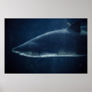 Zoek naar zwart wit water posters Natuur