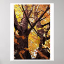 Zoek naar 35mm posters Voor iedereen