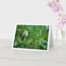 Zoek naar artisjok kaarten Elk persoon