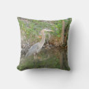 Zoek naar reiger kussens Water