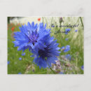 Zoek naar cornflower briefkaarten Fotografie