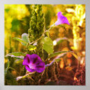 Zoek naar onkruid posters Voor haar