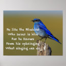 Zoek naar wilde vogel posters Foto