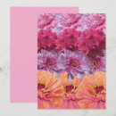 Zoek naar roze zinnia kaarten Tuin
