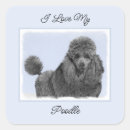 Zoek naar speelgoed poedel stickers Hond