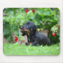 Zoek naar gladde muismatten Bob en pam langrish