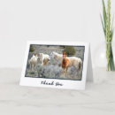 Zoek naar paardenfoto posters Paardenkunst