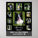 Zoek naar zwarte hond posters Honden