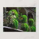 Zoek naar new orleans briefkaarten Voor hem/haar